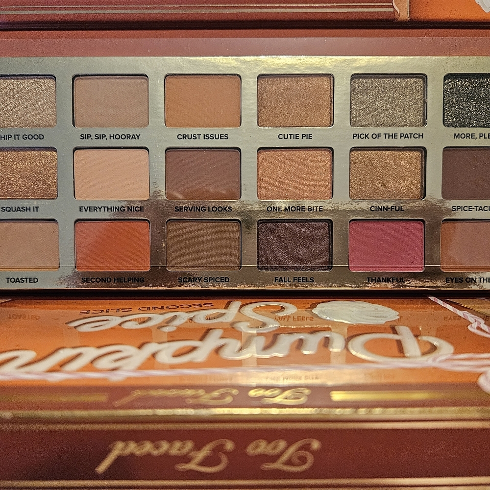 Pumkin Spice Eye Shadow Pallet New